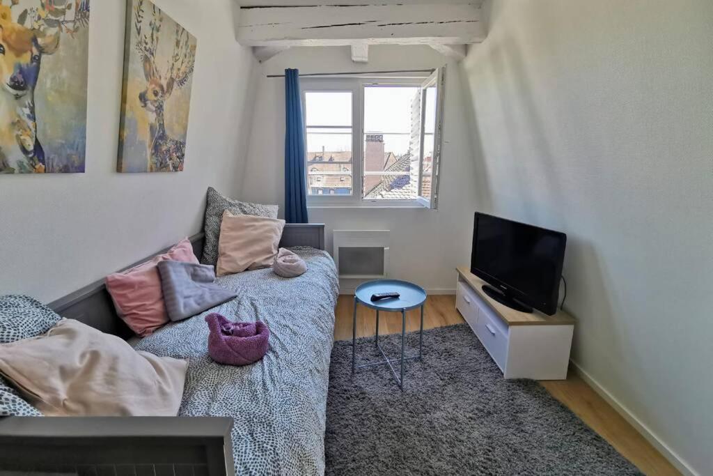 ** Appartement Cathedrale Strasbourg Centre** Εξωτερικό φωτογραφία