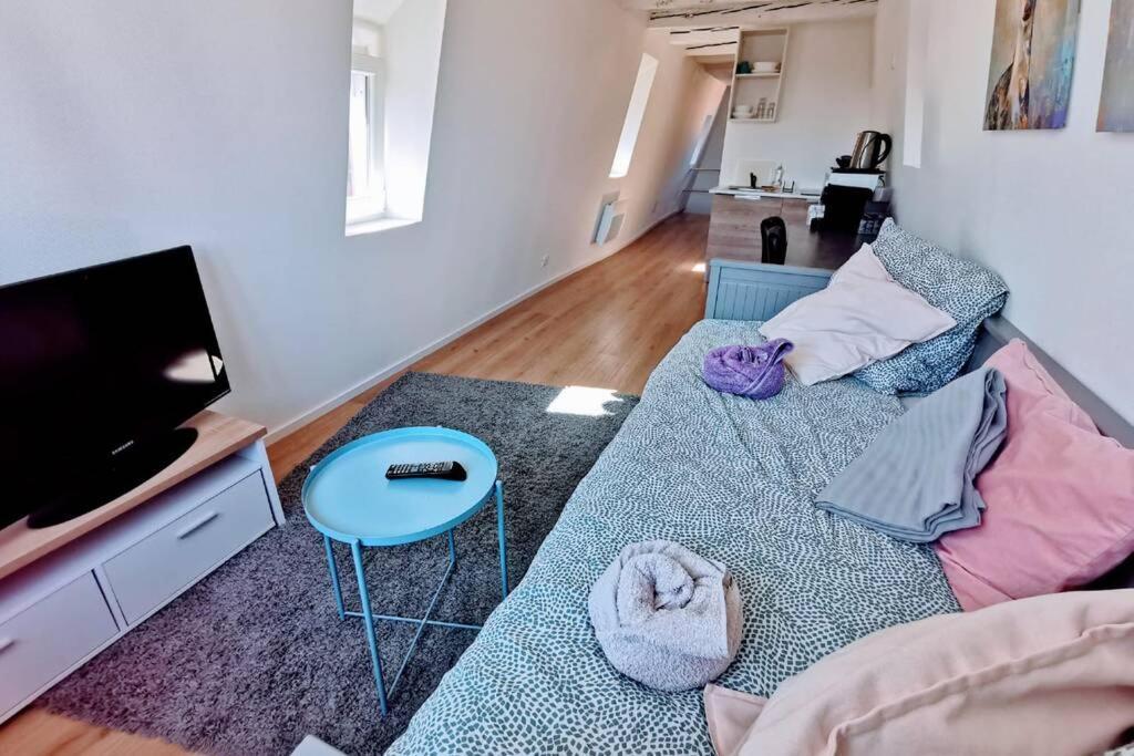 ** Appartement Cathedrale Strasbourg Centre** Εξωτερικό φωτογραφία